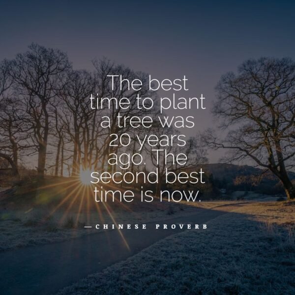 Quote: The Best Time - Quoatable